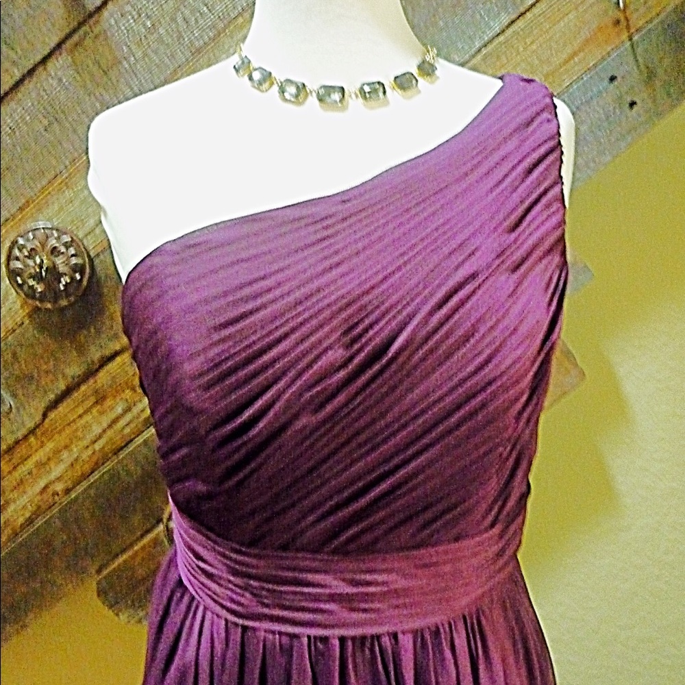 NWT PURPLE GOWN